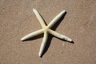 任天堂NSOL服务追加新游戏 N64《马里奥聚会1＆2》上线